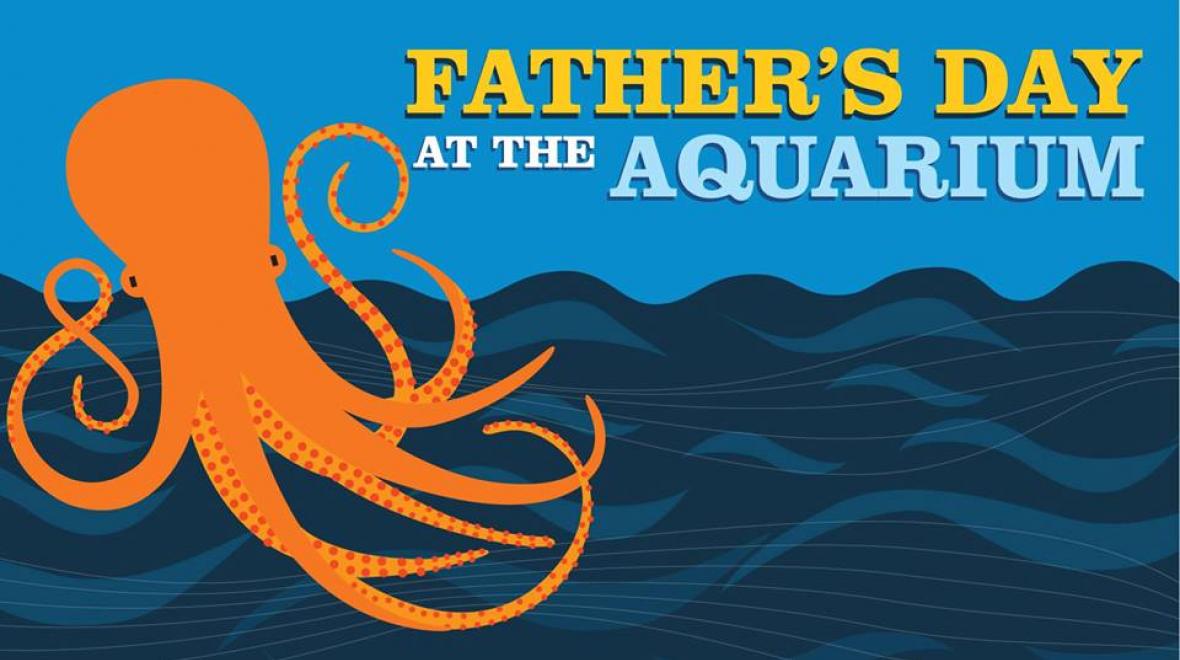 Father’s Day at Seattle Aquarium Seattle Area Family Fun Calendar